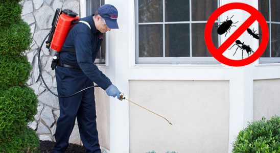 Ardanuç Hamam Böceği İlaçlama böcek ilaçlama ve haşere kontrolü — ilaclama-tr.com